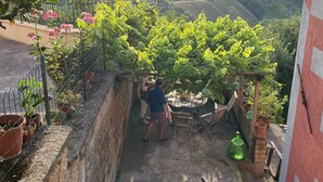 Escadaria que leva a um jardim no terraço com vasos de plantas e vista para o campo.