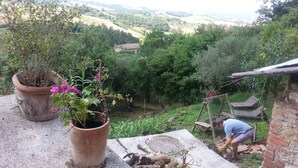 Um jardim com plantas em vasos e vista para o campo.