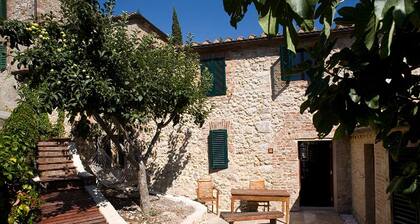 Villa Amedeo apartment Michelangelo