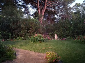 Property grounds - Villa in the southern Sardinia pine forest (Santa Margherita Pula (Cagliari))