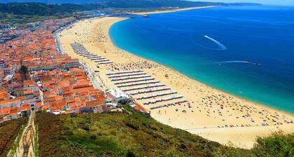 T2 à Nazaré 100m de la plage