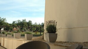 Wicker chairs and planters on a patio with a view of a fence and greenery. - The Starting Gate - luxury studio apartment, rural location, 1m from Bruton (Bruton)