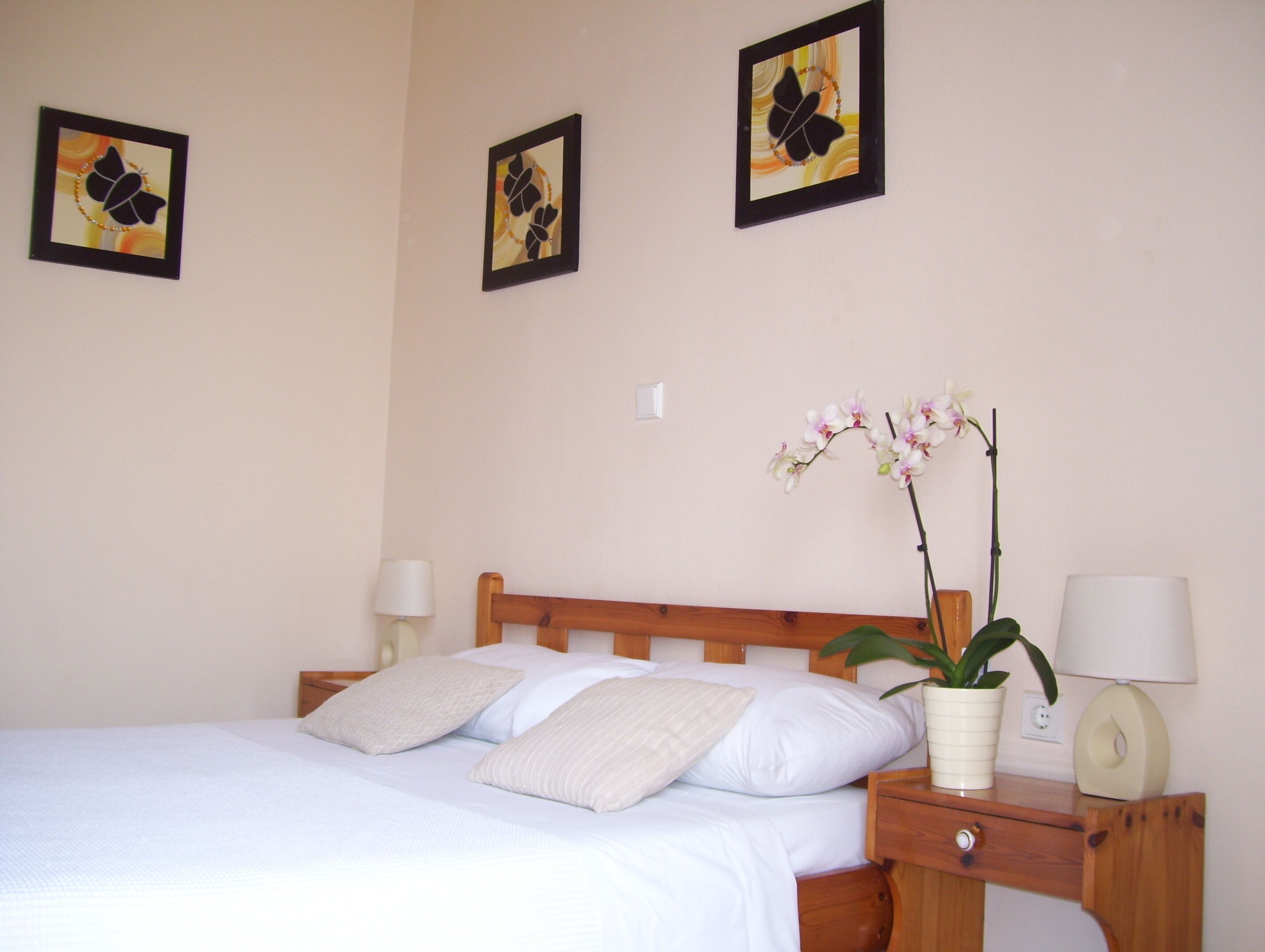 Room for 2 With Magnificent View