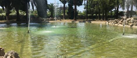 المنطقة المحيطة بالمنشأة