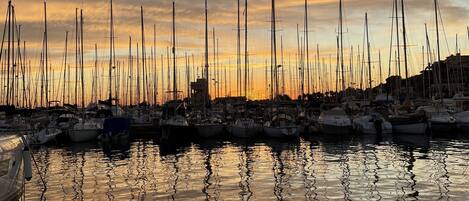 Marina