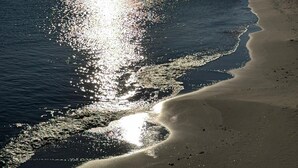 A beach with a calm sea reflecting sunlight, a clear sky, and two people walking on the shore.