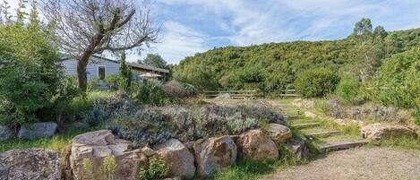A rustic stone wall, a wooden fence, and a house with a sloped roof in a lush, green landscape.