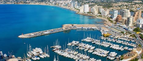 Un puerto deportivo con numerosas embarcaciones amarradas, rodeado por un paisaje urbano costero y montañas al fondo.