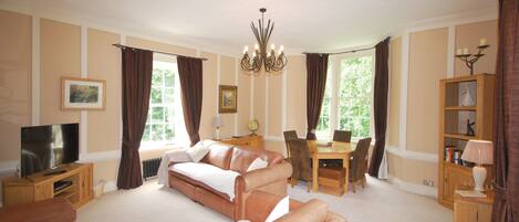 Televisie, een open haard, een dvd-speler en boeken