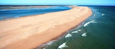 Plage à proximité, serviettes de plage