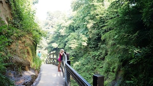 A pathway with a metal railing, surrounded by dense greenery and a rocky cliff.
