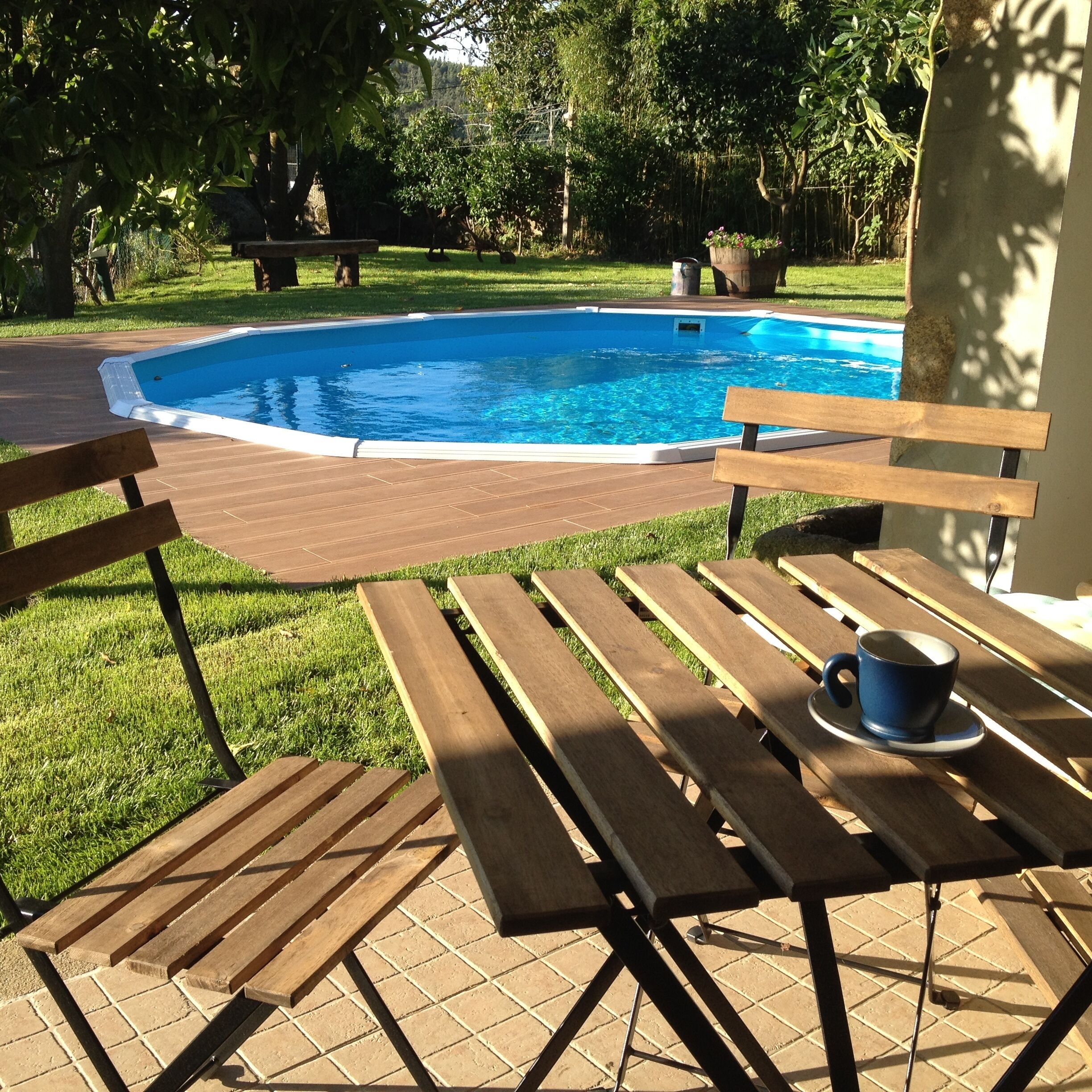 Olival House - Country house 30 km from Porto with swimming pool