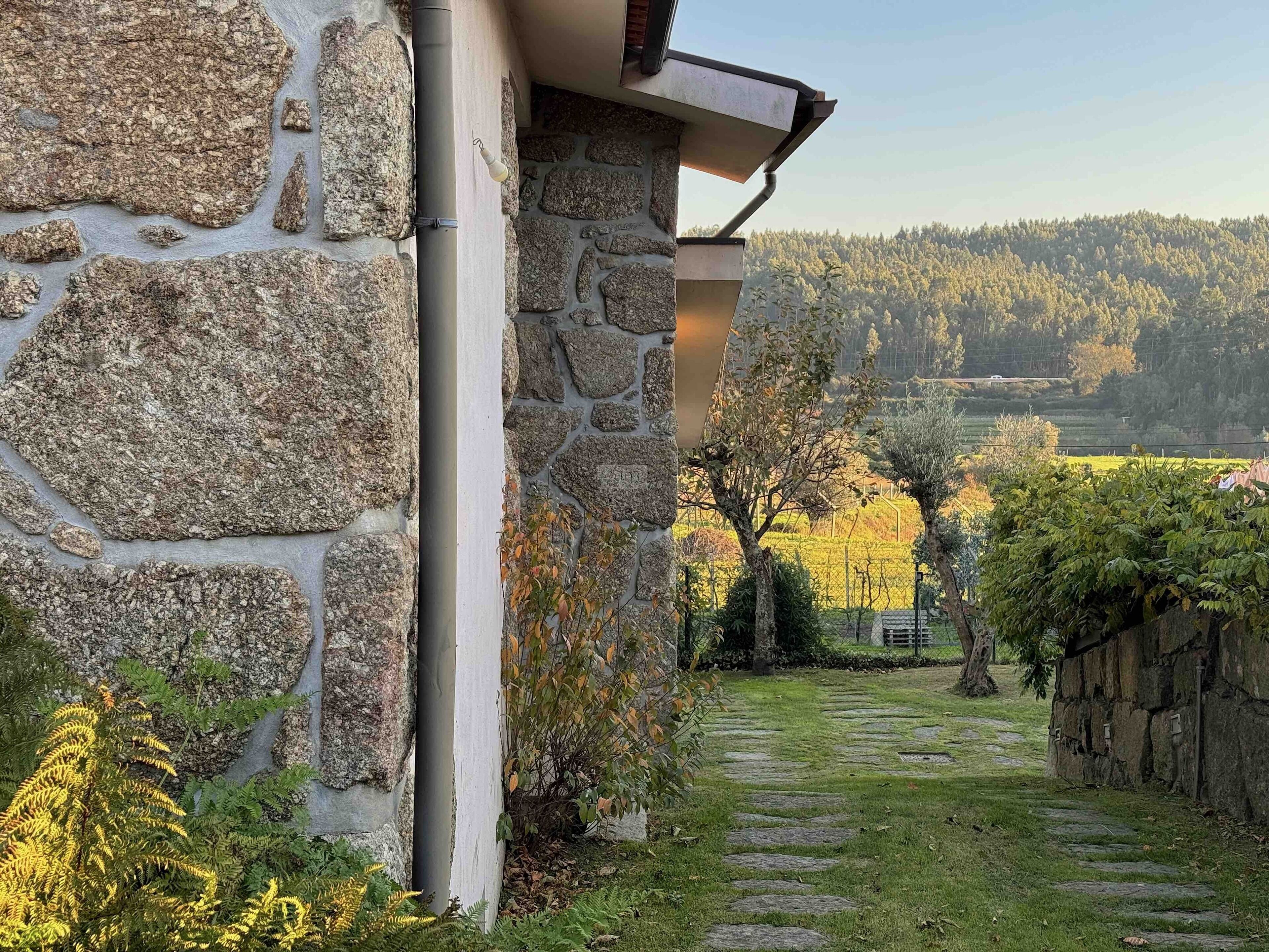 Áreas de la propiedad