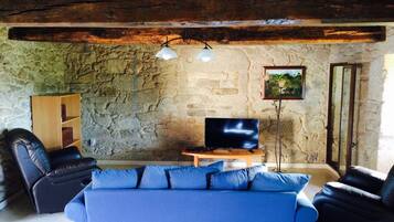 TV, lareira, DVD player