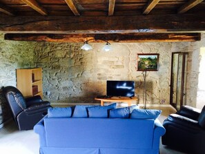 Televisión, chimenea, reproductor de DVD