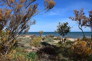 Vlak bij het strand