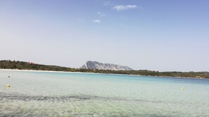 Tæt på stranden