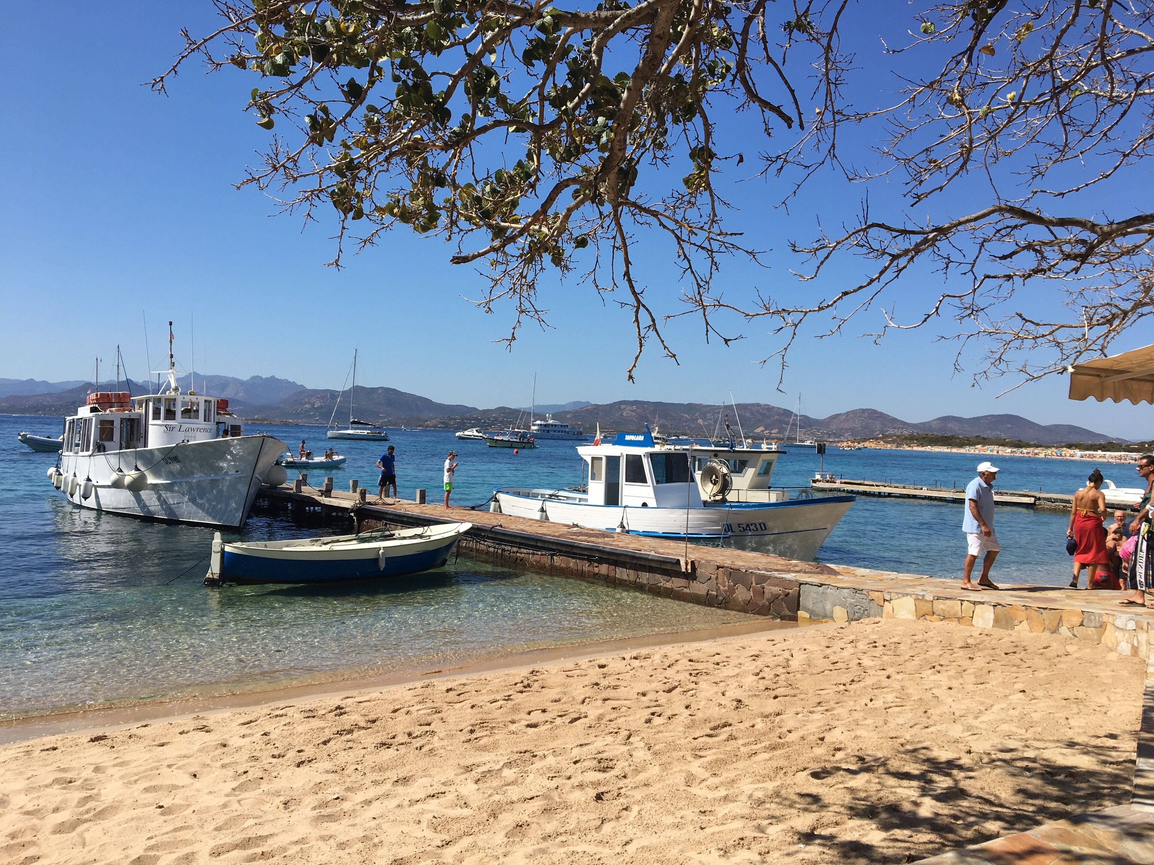 بالقرب من الشاطئ