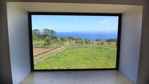 Uma janela com vista para um campo gramado, árvores e o oceano.