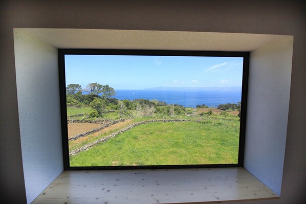 A window with a view of a grassy field, trees, and the ocean.