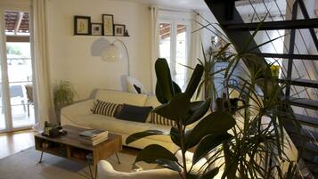 TV, fireplace, DVD player, books