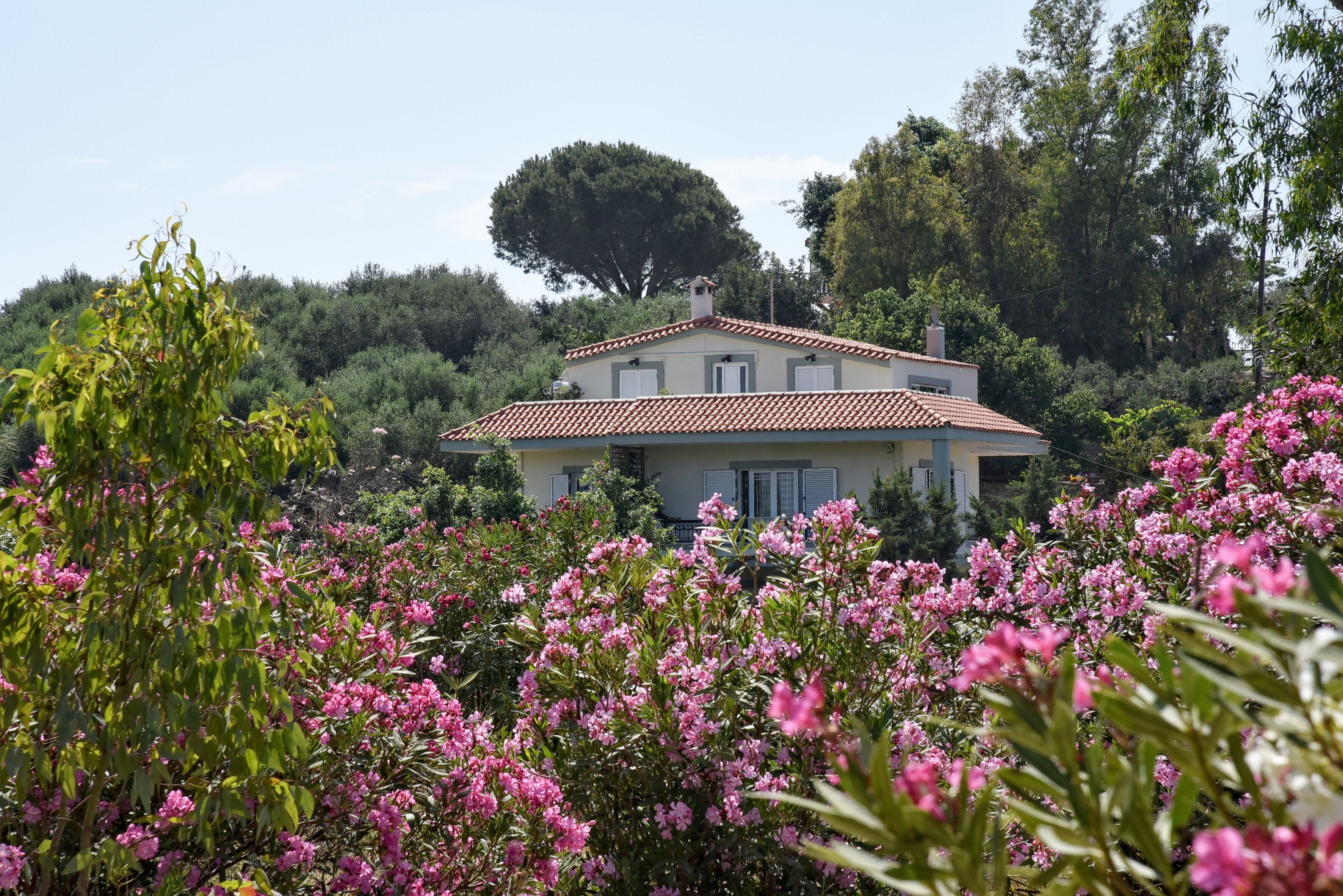 Maria's home!/ Loft right in the center of Crete.