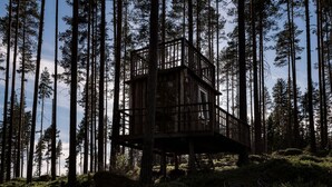 A wooden cabin in a forest with a balcony and a window. - Comfortable newly built log cabin in the middle of the forest, built for quality of life and community. (Alfta)