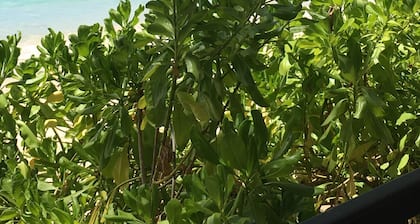 Beautiful secluded Villa with views across the golf course to the Caribbean Sea.