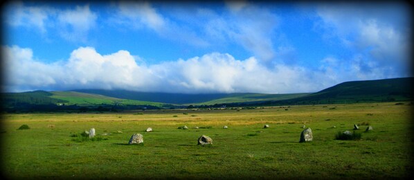 A wide-open field with several standing stones scattered across the landscape.