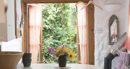 Trallwyn Bach Charming Cottage studio in Pembs Nat Pk by ancient stonecircle