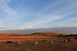 A wide-open landscape with rolling hills and a clear sky.