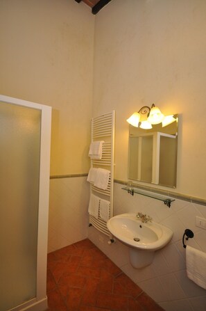 Shower, hair dryer, bidet, towels - LECCINO ROOM at Agriturismo MUSIGNANO (cerreto guidi)