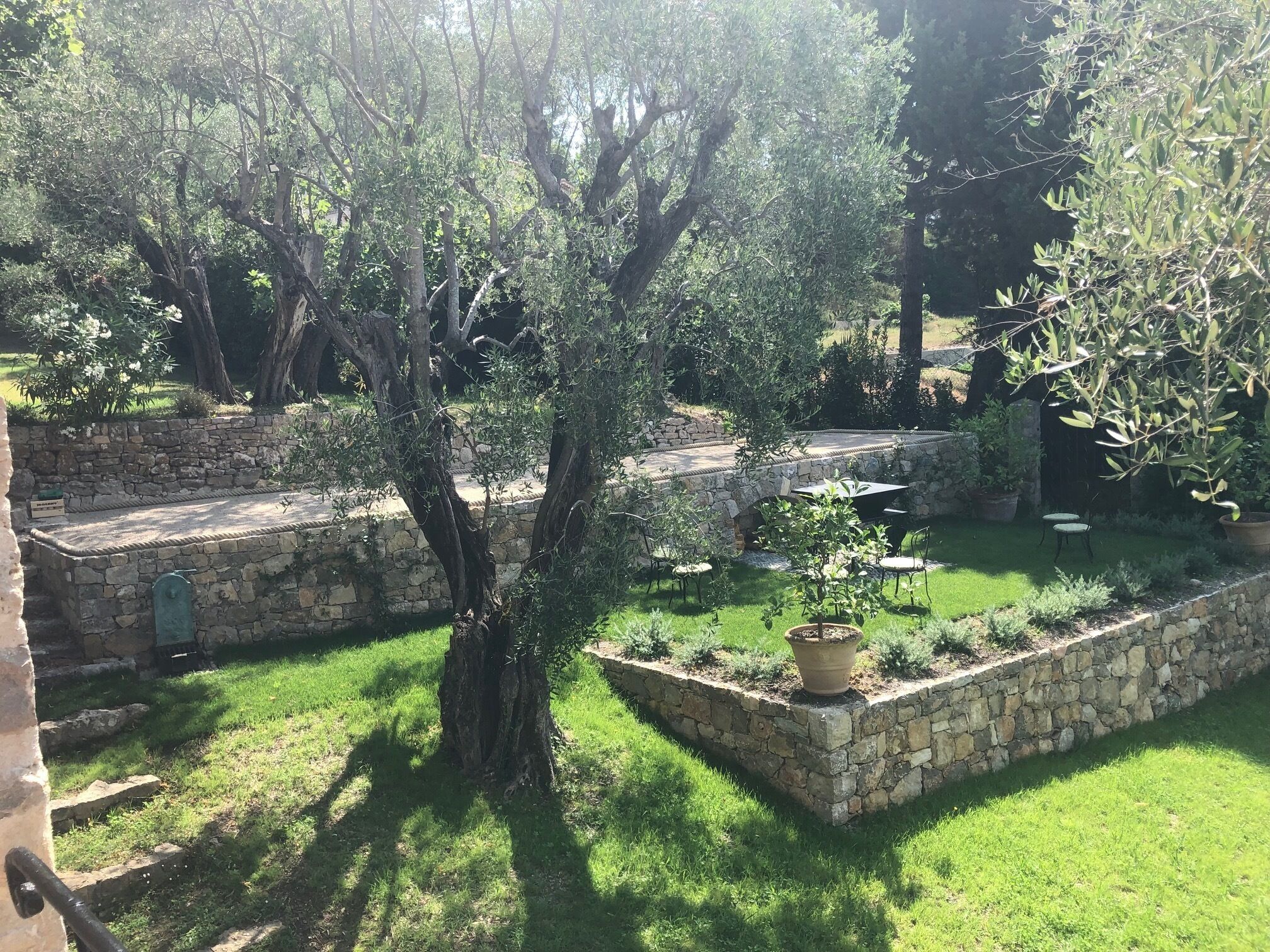 A stone patio with a stone wall, a tree, and a small garden area with potted plants.