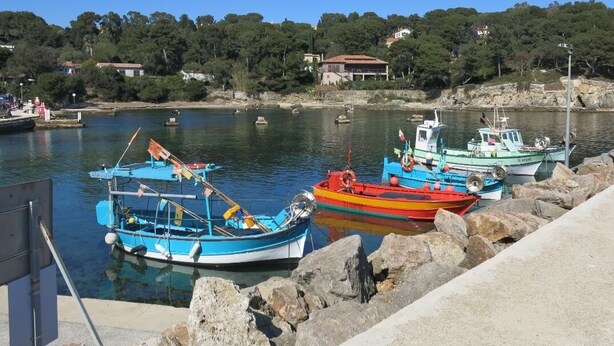 A harbor with several boats docked, a rocky shoreline, and buildings in the background.