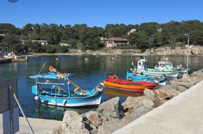 A harbor with several boats docked, a rocky shoreline, and buildings in the background.