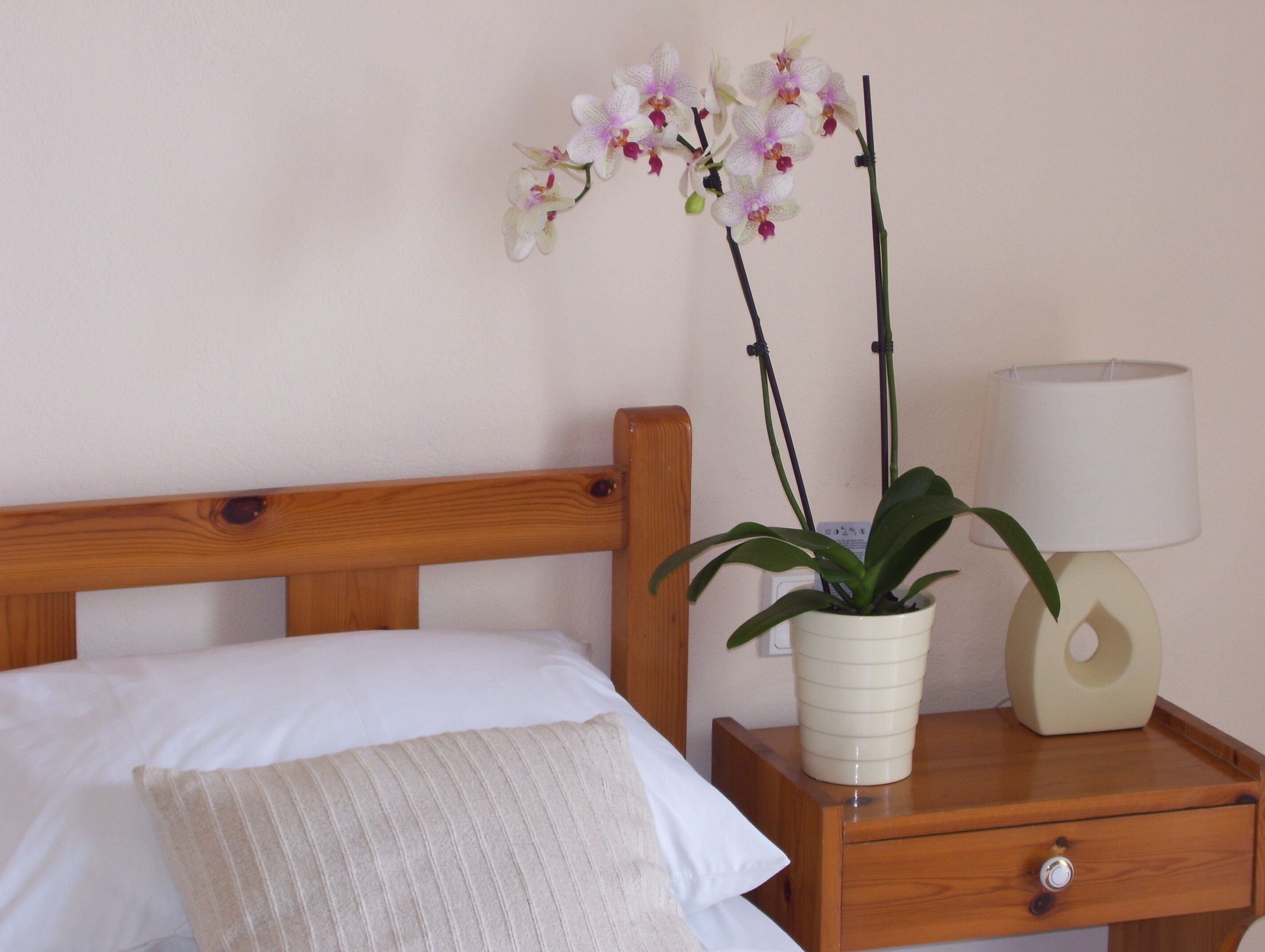 Cosy sea view room perfect for relaxation