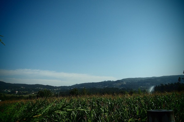 Vista desde la propiedad