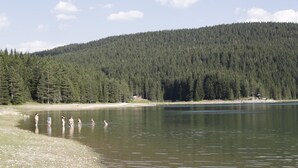 A lake with a forested hill in the background.