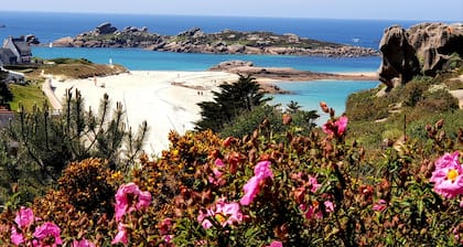 SUPER OFFRE A 5 MNS DE LA MER. MAISON D'ARTISTE SITUEE DANS UN ECRIN DE VERDURE.
