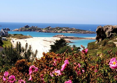 SUPER OFFER 5 MNS FROM THE SEA. ARTIST'S HOUSE IN A GREEN SETTING.
