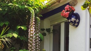 A garden with various plants and a blue vase with flowers on a white wall. - ARTIST'S HOME, 5 MINUTES FROM THE SEA, VERY QUIET, TUCKED AWAY IN A LUSH GREEN SETTING. (Trégastel)
