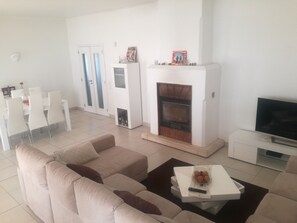 TV, fireplace, DVD player, books