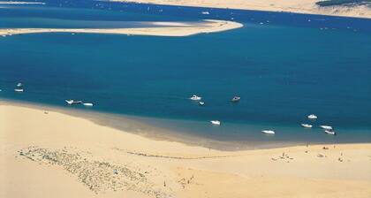 Superb air-conditioned wooden villa in the Arcachon Basin forest, 10 minutes from the beach, heated swimming pool