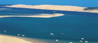 Superb air-conditioned wooden villa in the Arcachon Basin forest, 10 minutes from the beach, heated swimming pool