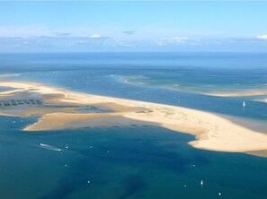 Beach nearby - Superb air-conditioned wooden villa in the Arcachon Basin forest, 10 minutes from the beach, heated swimming pool (La Teste-De-Buch)