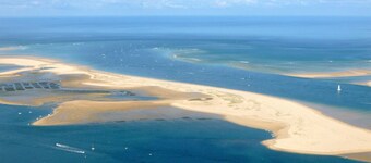 Superb wooden house in the heart of the Pyla-Bassin Arcachon forest, 10 minutes from the beach