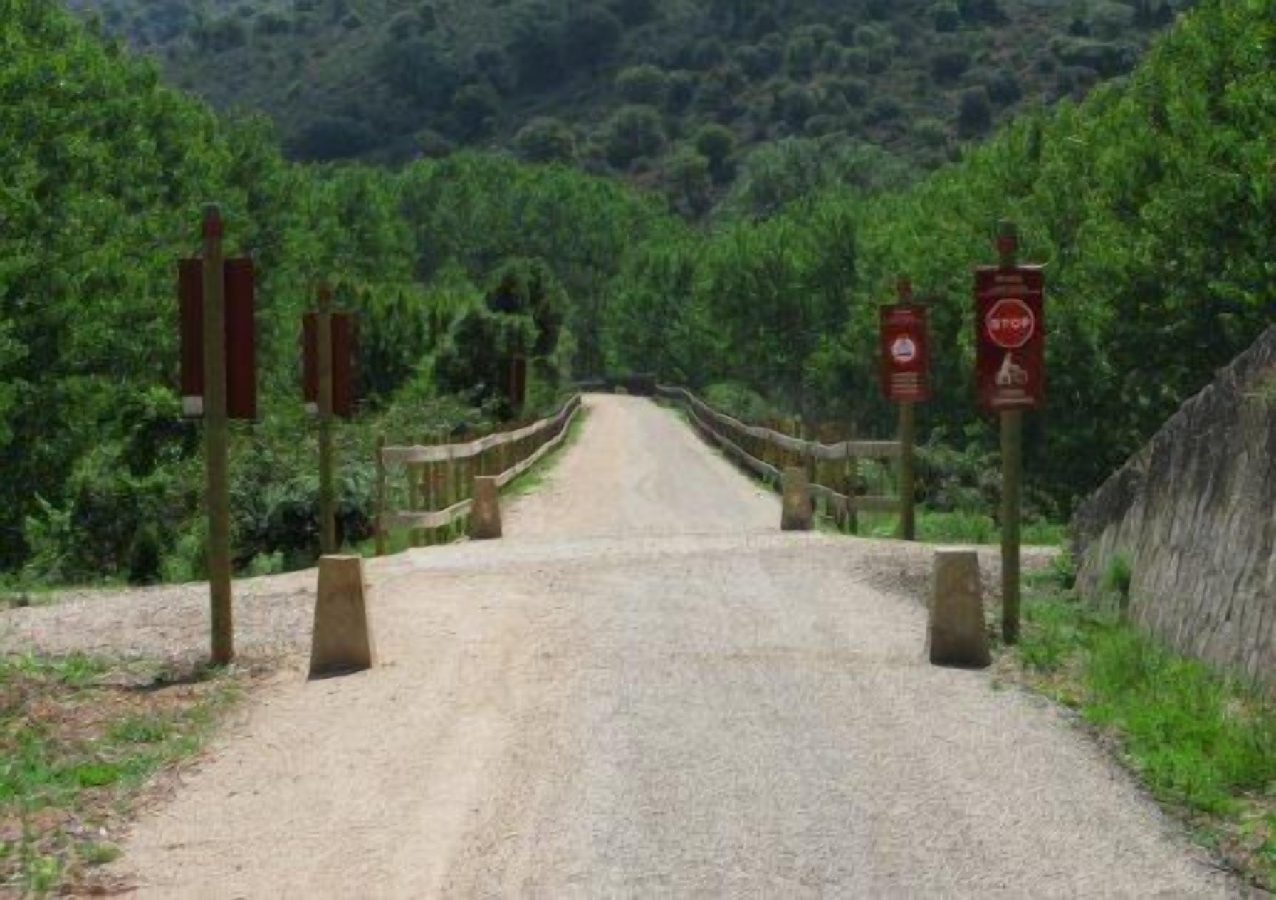 Un camino de grava que serpentea por un área boscosa, con una valla de madera a un lado y una señal de stop roja al otro.