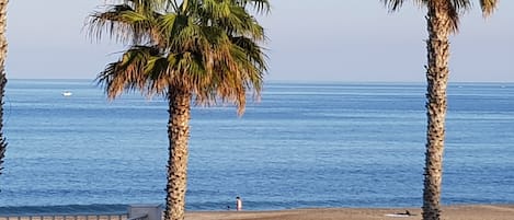 On the beach, sun-loungers