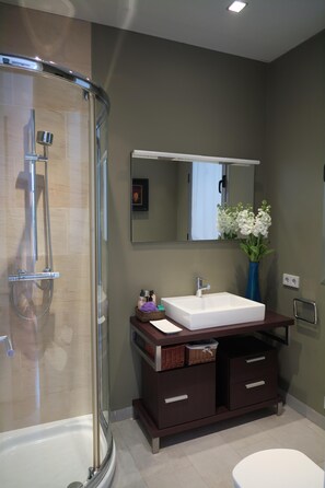 Ensemble baignoire-douche, séchoir à cheveux, serviettes fournies
