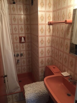 Kombinert dusj/badekar, hårføner, bidé og håndklær